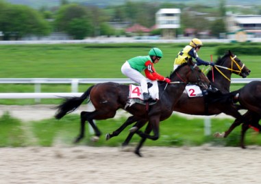 ??????????????????????????????????????????????????????????????????????????????